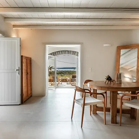 Nerea Sunset View 公寓 阿吉亚艾里尼帕罗